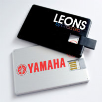 Memoria USB Tarjeta USB-04001