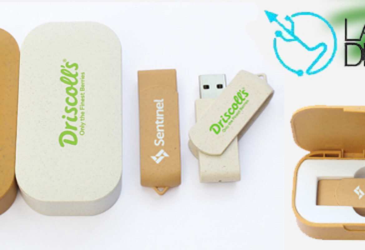 USB Personalizados para ONGs: Promoción y Recaudación de Fondos
